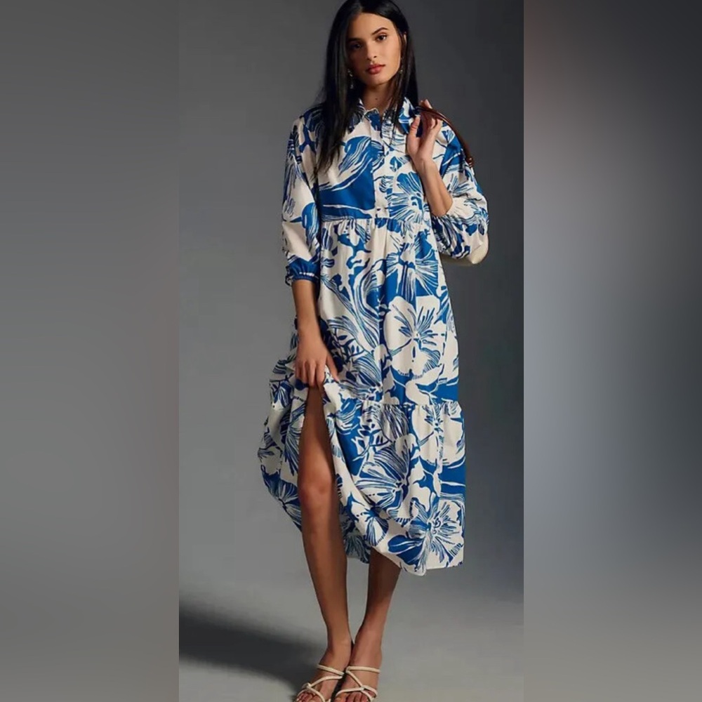 Anthropologie Blue and White Floral Maxi Dress